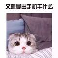 YYYYYYu25 · 丰田C-HR车主·车龄6年头像