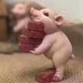 奔跑的肉猪头像
