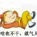 王宝昌393头像