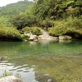 尤洪浪头像