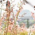 画地为牢8023头像