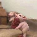 Kid360头像