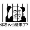 91老大哥头像
