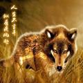 独善其身715头像