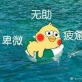 正直冰淇淋tO头像