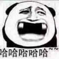 倾城的黎明头像