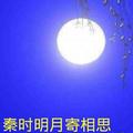 秦时明月7227头像