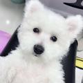 颜四月Ysy头像