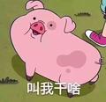 忙男303头像