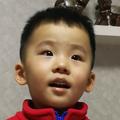 博华52699346头像