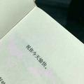 追梦蓝天碧水头像