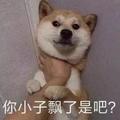 头像