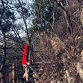 秦大川子头像