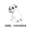 温柔柳叶fRC头像