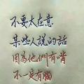 波波81746头像
