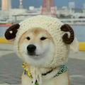 詠遠112034596头像