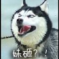 李兵就是帅头像