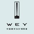 WEY贺州佳通4S店头像